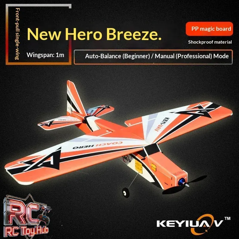 KEYIUAV Rc Airplane Fixed Wing - огляд і ціна Board Game Wingspan