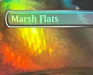 Foil Arid Mesa Marsh Flats Mis - огляд і ціна Board Game Verdant