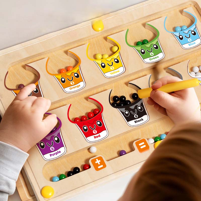 Magnetic Sorting Games Montess - огляд і ціна Board Game Nature